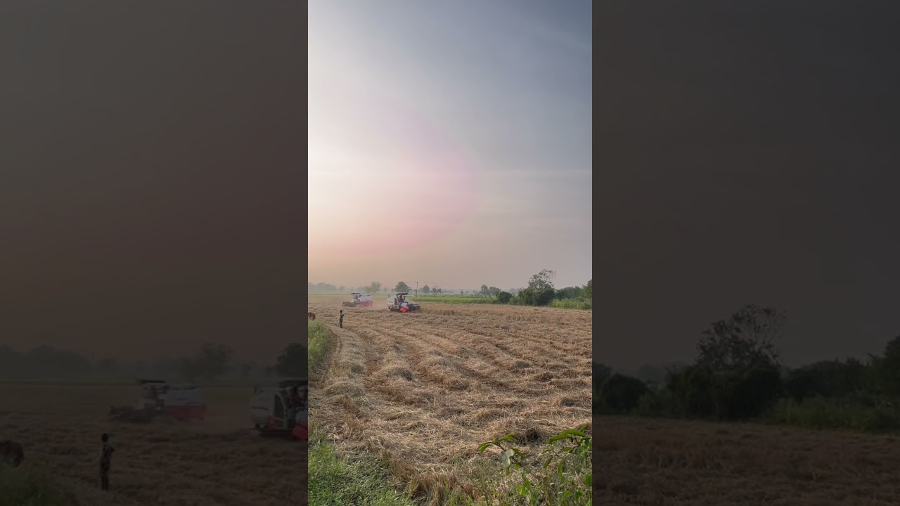 Music Time- Evening Vibes ❤️ BGM ❤️ Nature ❤️#atwwkk