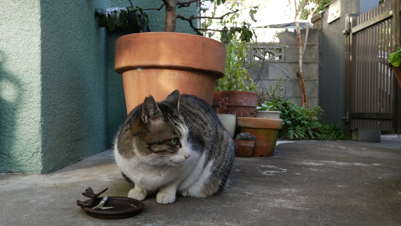 2026年01月31日09時00分