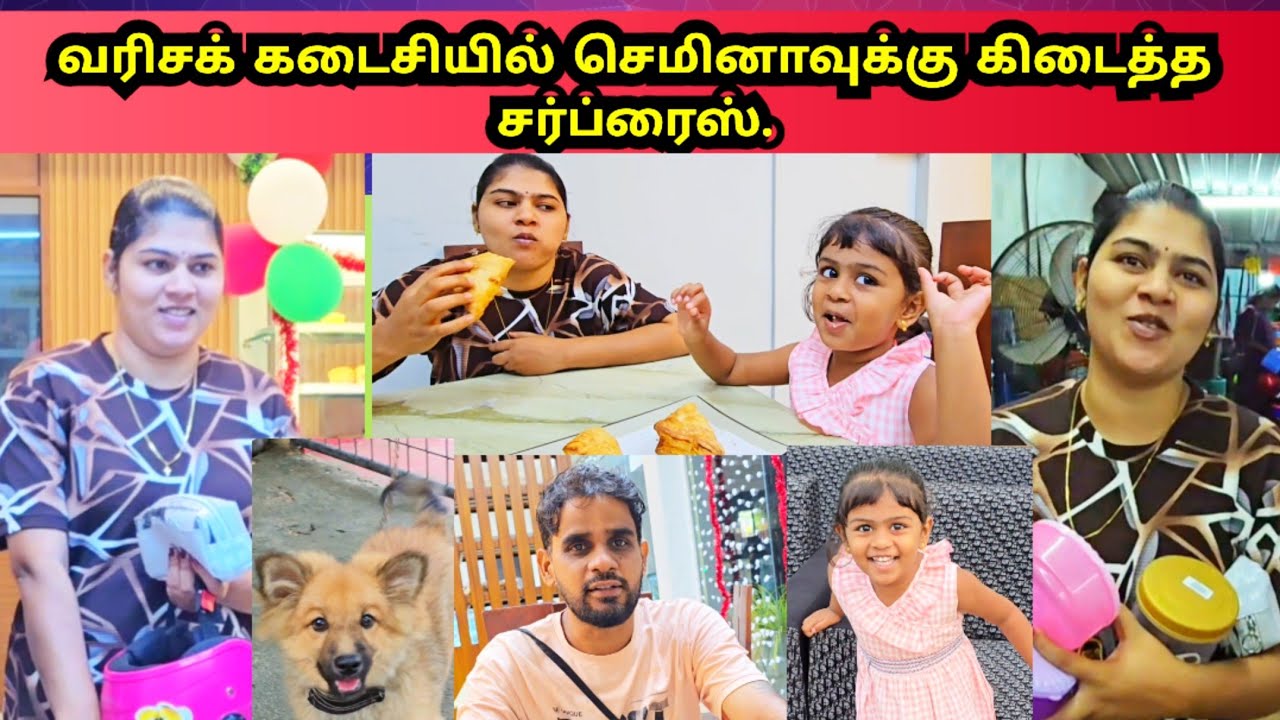 வரிசக் கடைசியில் செமீனாவுக்கு கிடைத்த சர்ப்ரைஸ்🥰|JSPwatching|Srilankan Tamil vlog.