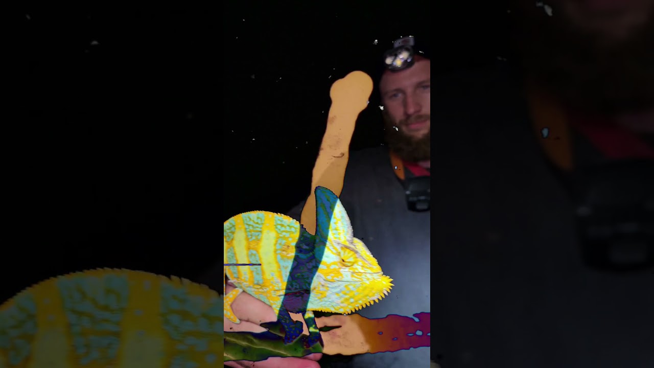 Invasive species don't stand a chance