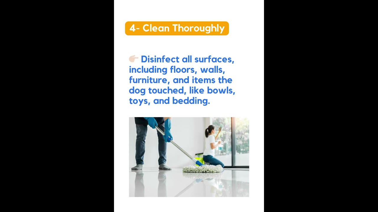 How to clean your home after a parvo infection! ⚠️🐶