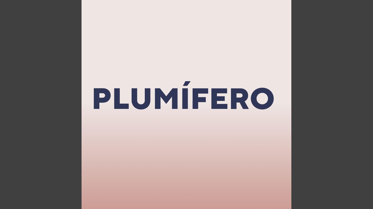 Plumifero