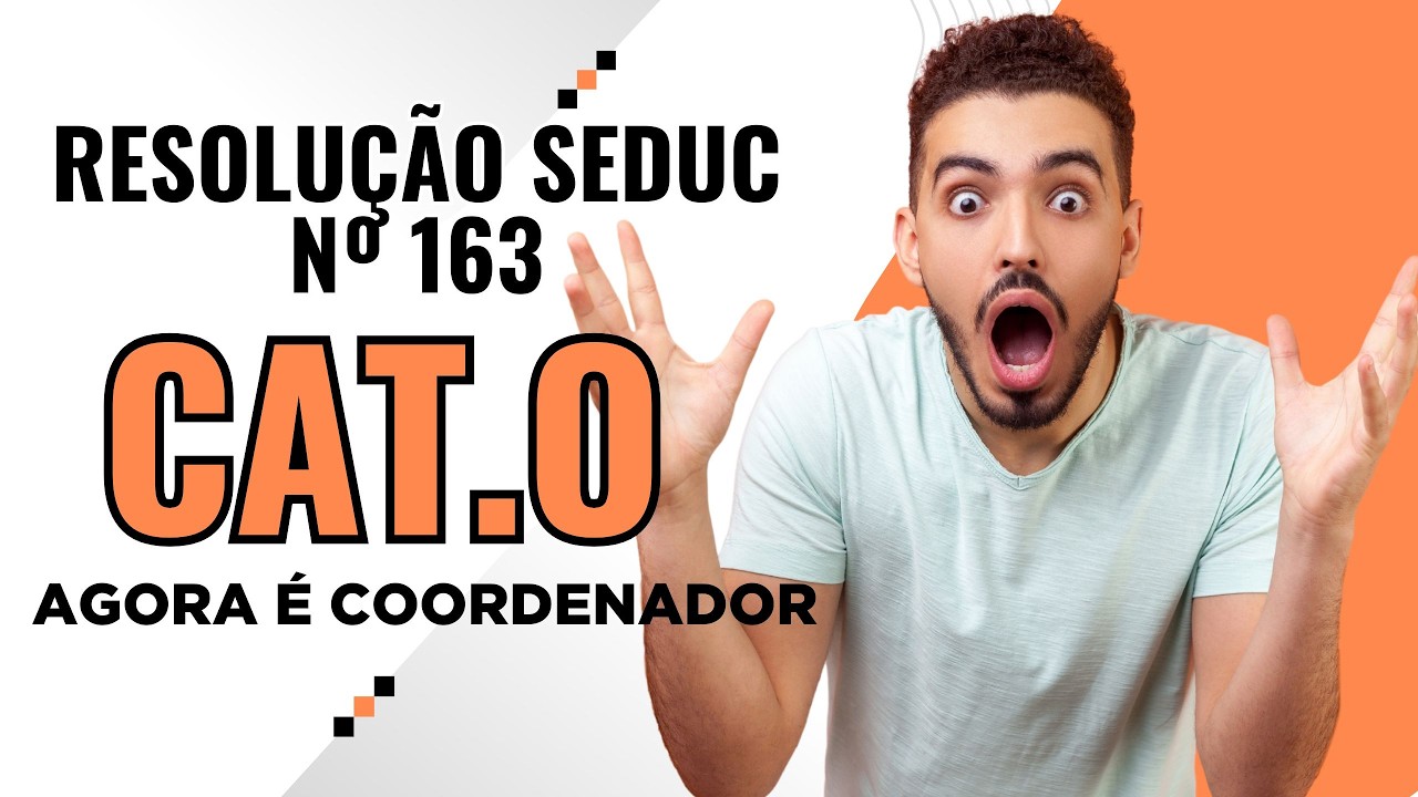 Novo Professor Articulador por Área: veja o que a SEDUC mudou