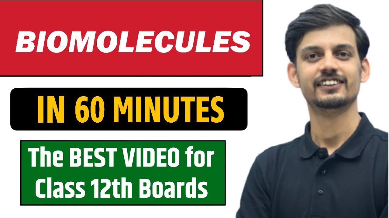 BIOMOLECULES in 60 Minutes || BEST for Class 12th Boards || Pure English