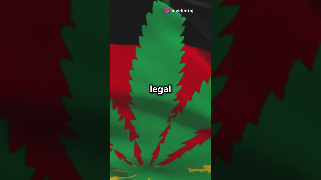 CBD Bl&uuml;ten: Alles, was du in 60 Sekunden wissen musst!