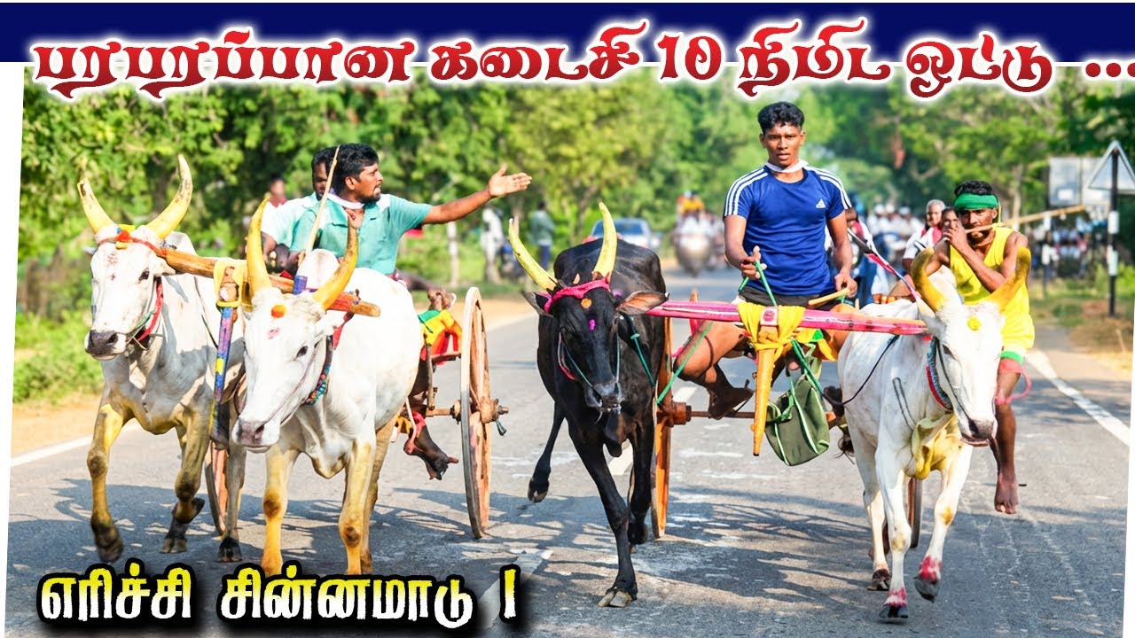 எரிச்சி சின்னமாடு 1 பந்தயம் 04.01.2026