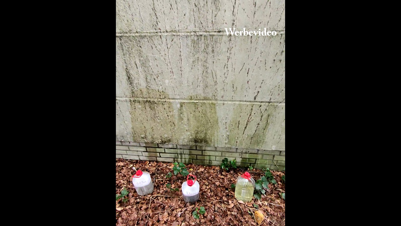Teil1,Test 60 Fach Algen-und Gr&uuml;nbelagentferner, Steinreiniger/Fassadenreiniger S, A.K.B. Steinreich
