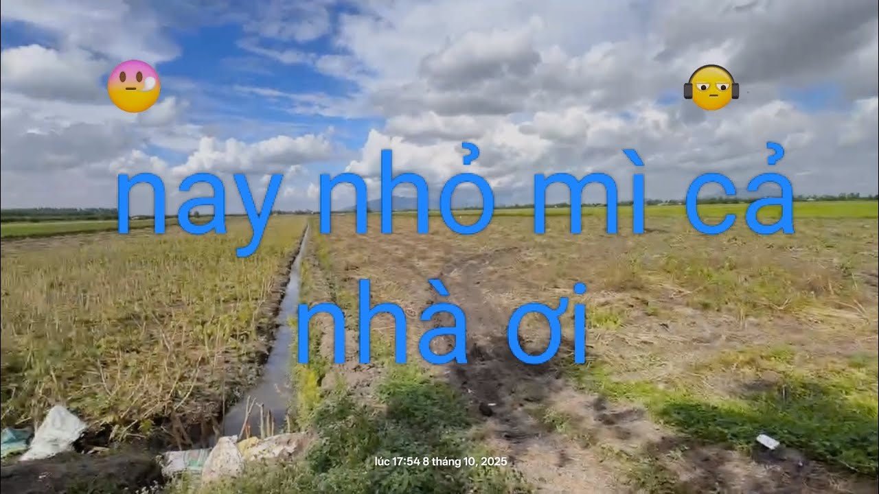 Nay sẽ kéo mì   bị hư rồi cả nhà ơi 