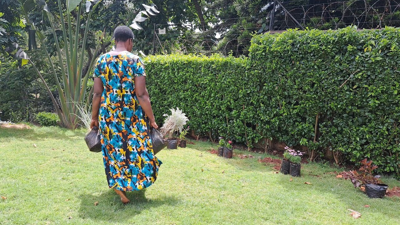 Weight Loss Recipe + Lawn Makeover Update | Life After Retirement