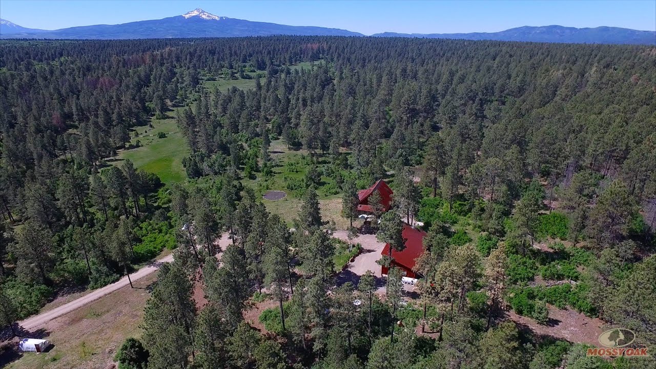 2965 Red Cone Dr Norwood, CO 81423  |  Red Cone Retreat