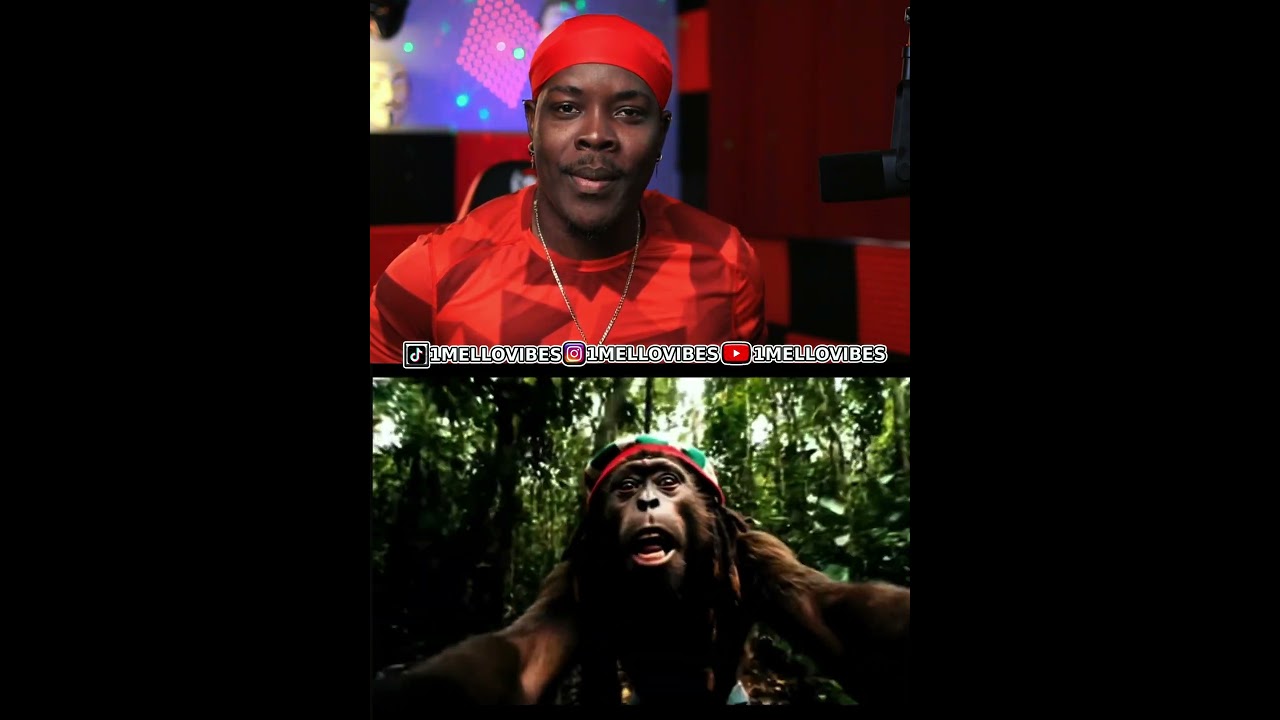 REAL RASTA OR FAKE??