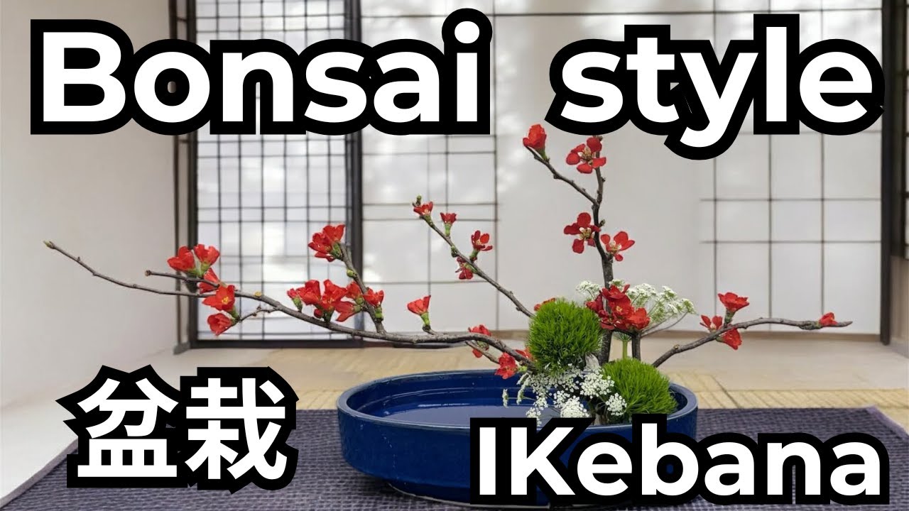 Bonsai Style Ikebana | A Small World of Nature in a Pot