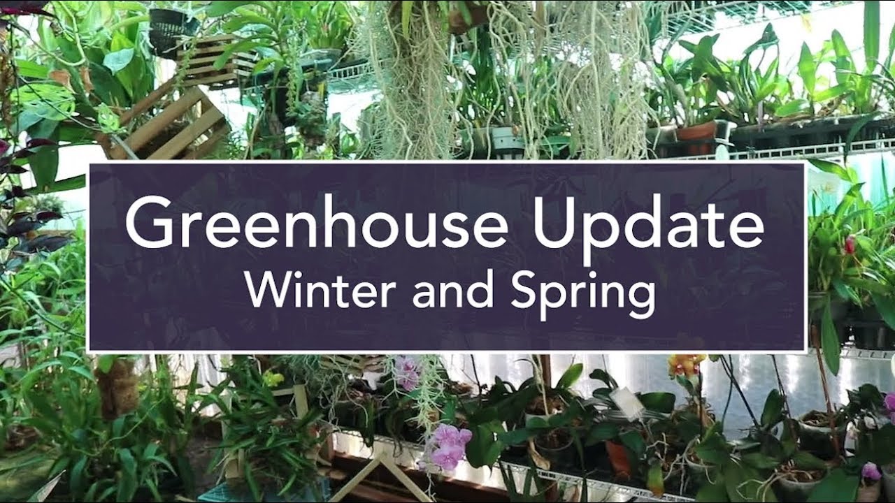Greenhouse Update - Late Winter and Early Spring
