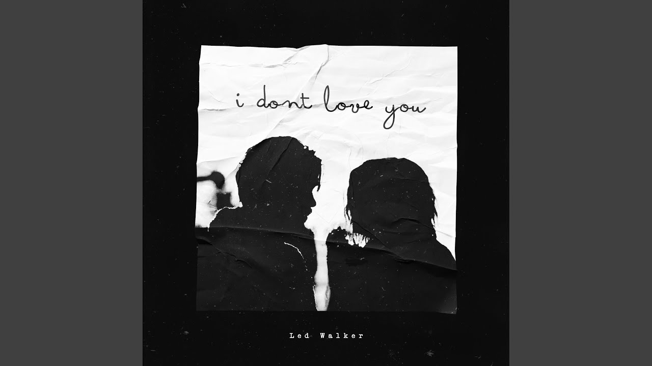 I dont love you