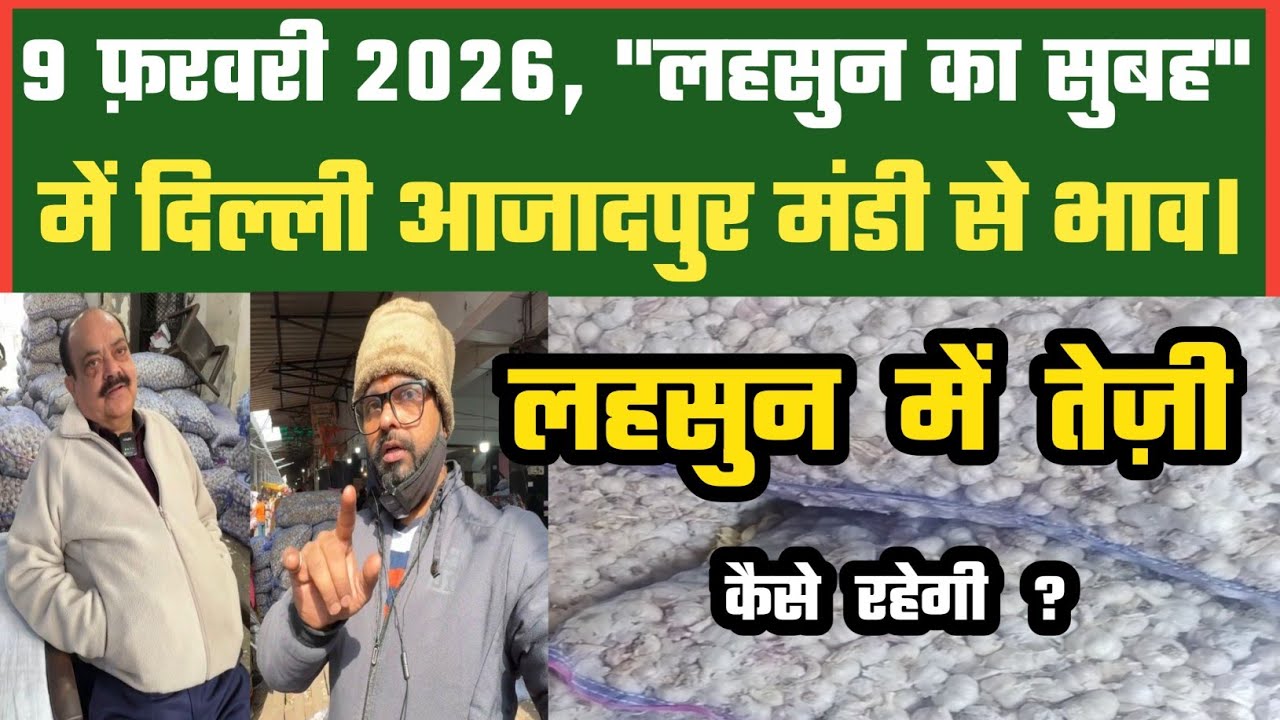 लहसुन ग्राहकी अब जोरदार बनी ? Azadpur Delhi Mandi Today 09-02-2026 को बने ऐसे Garlic Price DMT TV