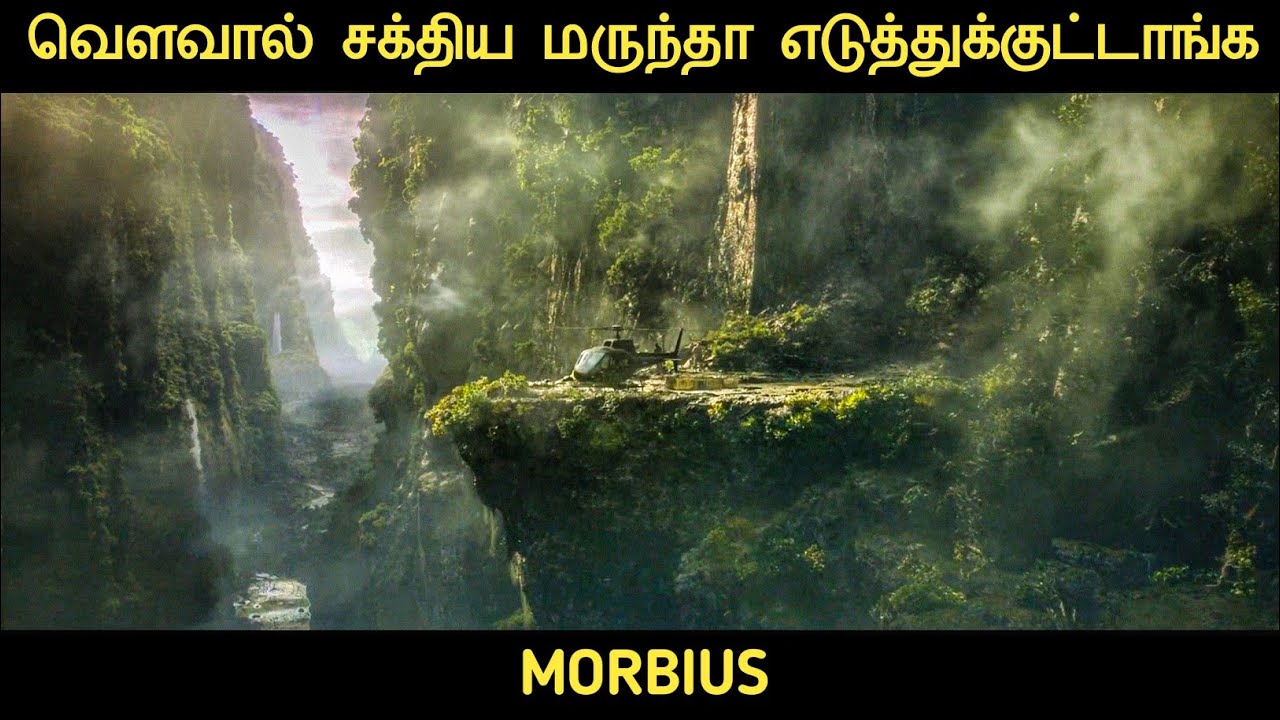 வௌவால் பிடிக்க இந்த காட்டுக்கு வந்துருக்காங்க | Movie Multiverse