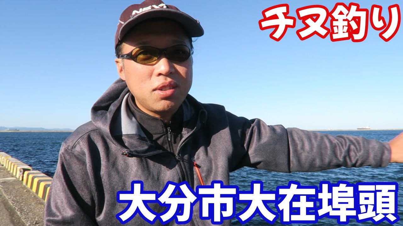 潮通しのいい大分市大在埠頭にやってきました