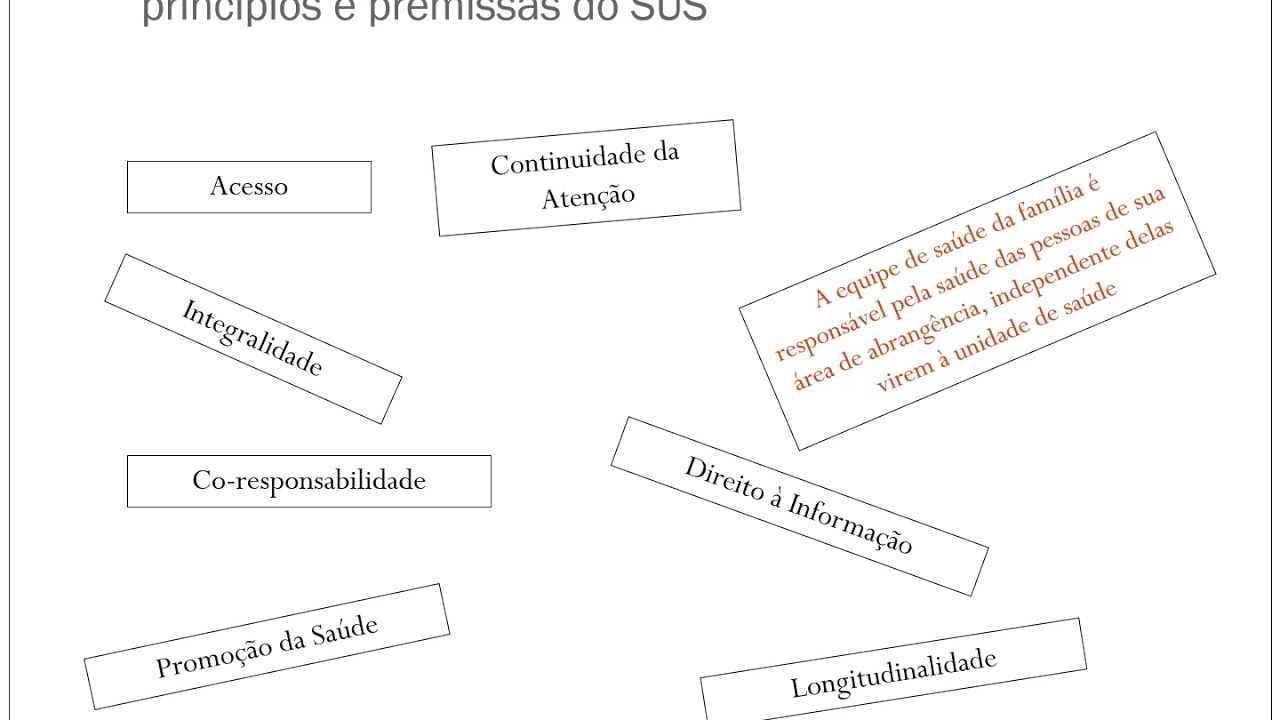 Aten&ccedil;&atilde;o Integral &agrave; Sa&uacute;de da Gestante