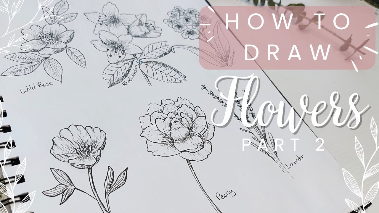 6 Simple Spring and Summer Flowers You Can Draw Right Now (Beginner Friendly Guide) PART 2