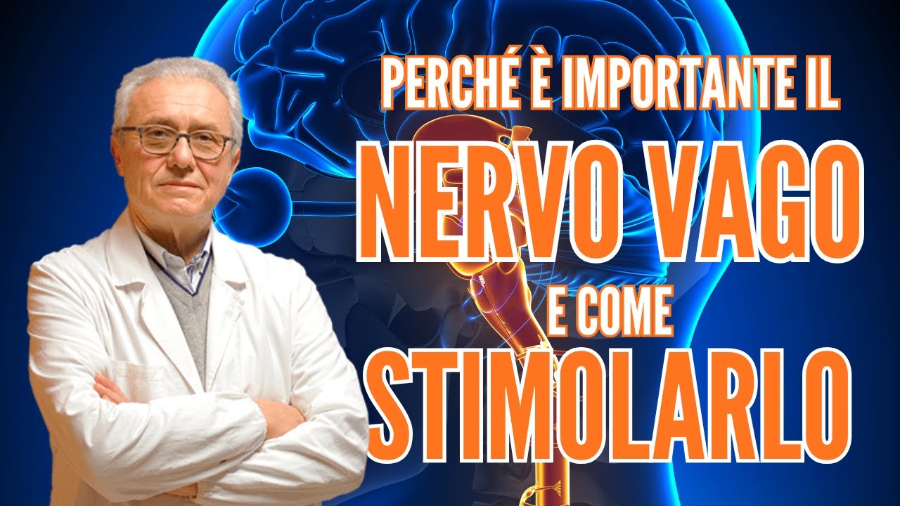 Perché è importante il tuo NERVO VAGO e come STIMOLARLO