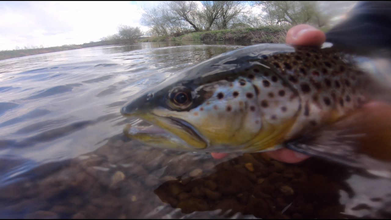 Fly Fishing River Dove April 2021