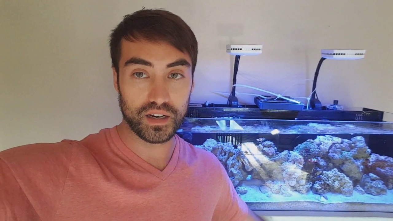 Algae Turf Scrubber for Innovative Marine 30 (3 WEEK UPDATE)