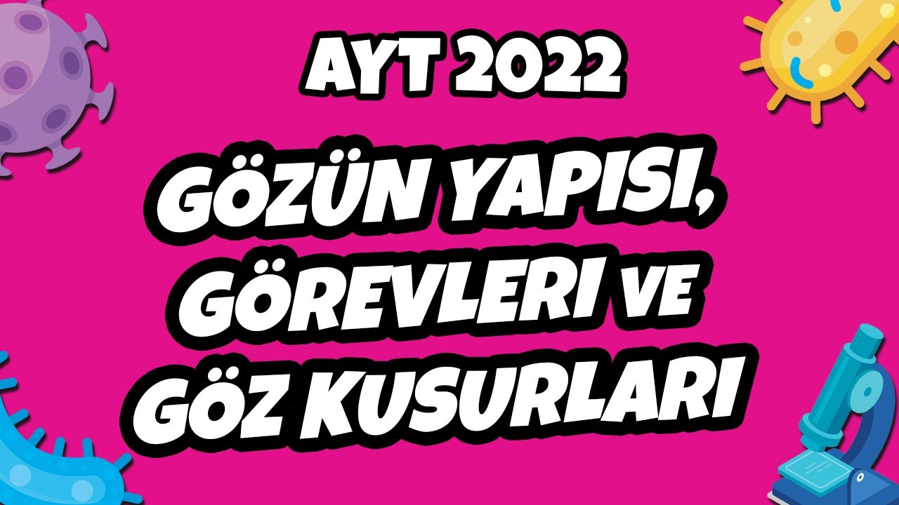 Gözün Yapısı, Görevleri ve Göz Kusurları | AYT Biyoloji 2022 #hedefekoş