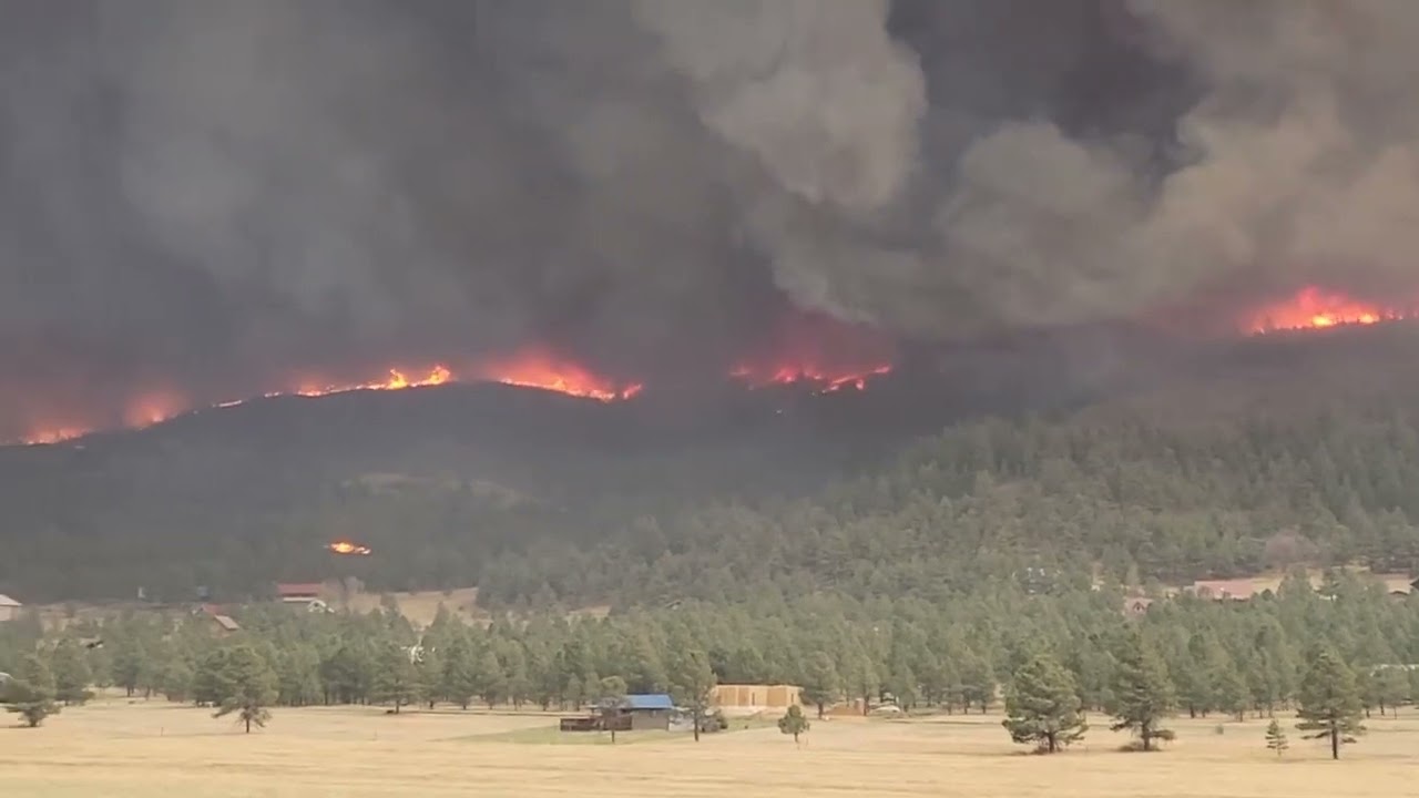 Calf Canyon and Hermits Peak Wildfires Converge in New Mexico, Official Say