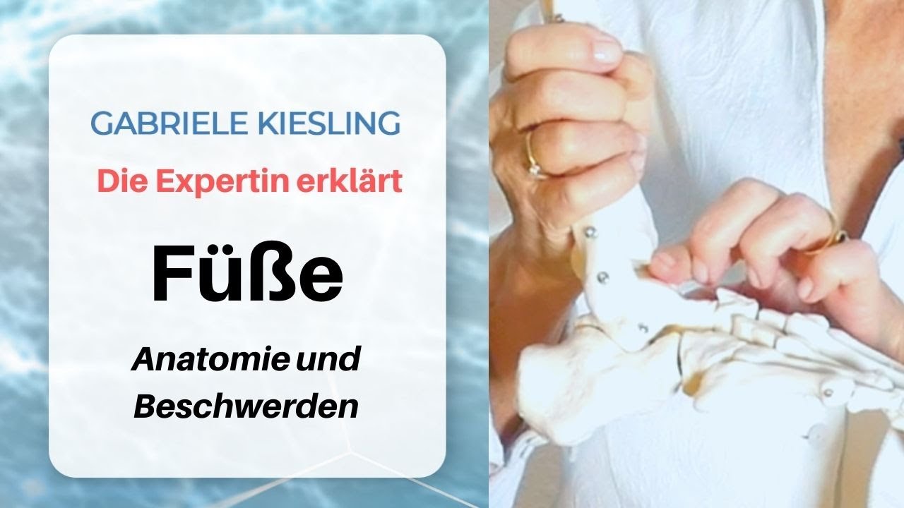 Fuß-Physiotherapie nach Kiesling - Anatomie und Beschwerden
