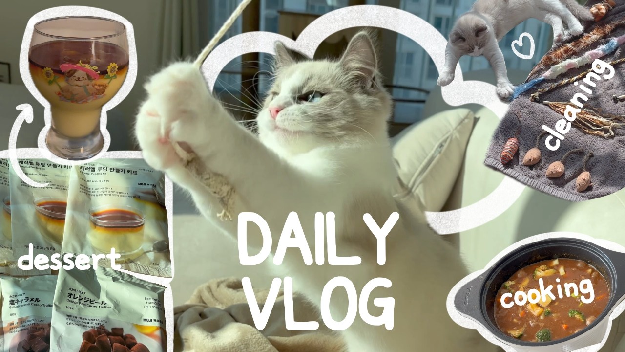 남편 고양이와 함께 하는 일상 vlog | 고양이 장난감 세척 | 무인양품 푸딩 만들기