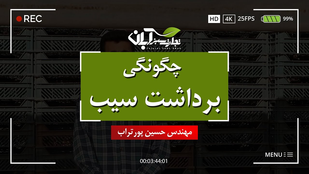 چگونگی برداشت سیب