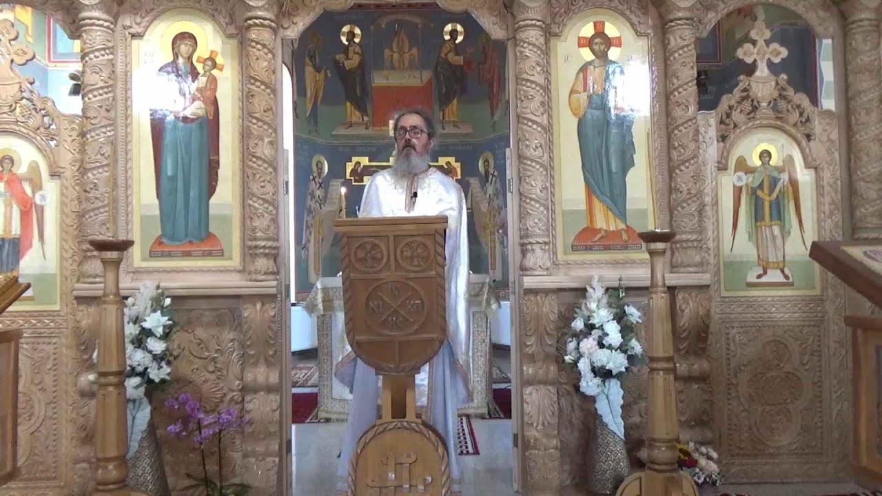 Pr. Dan Popovici – Un păcat de top