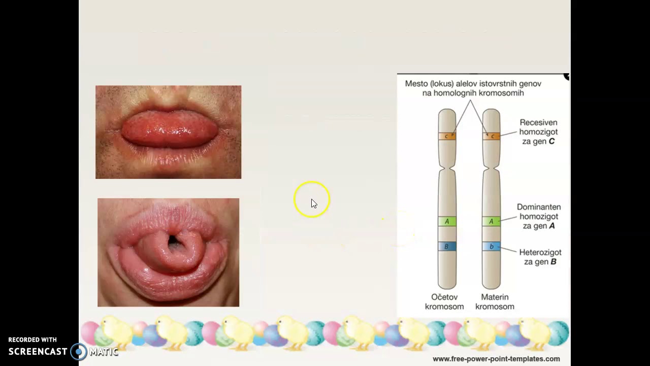 GENOTIP, FENOTIP