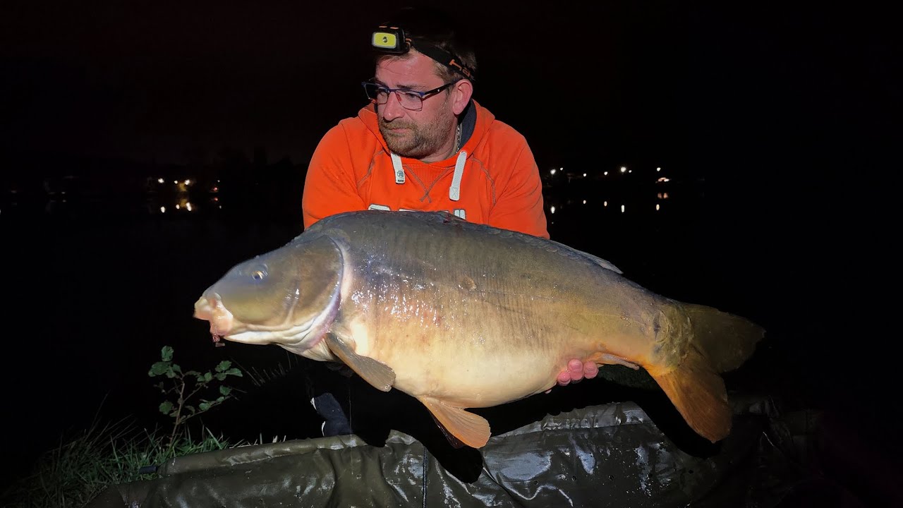4 nuits 2 destinations et du poisson