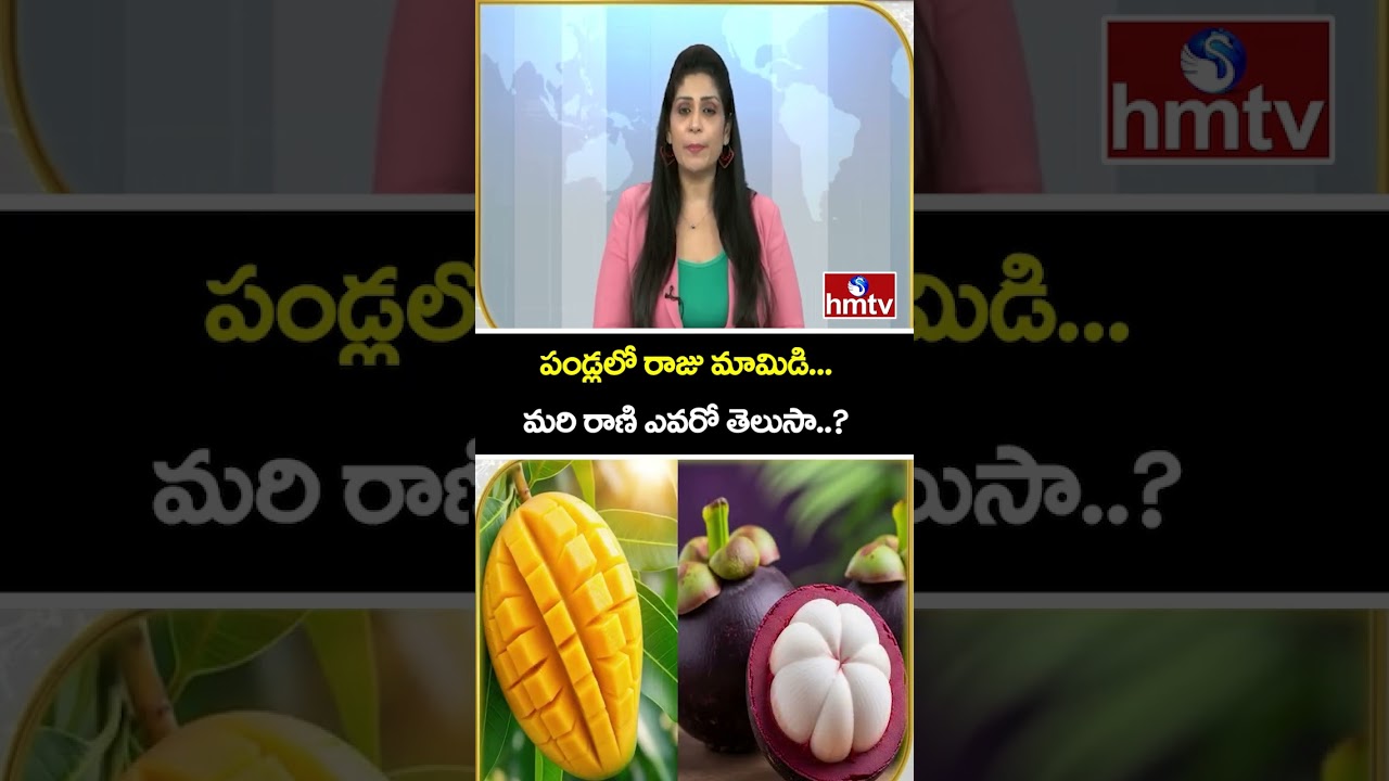 TO THE POINT : పండ్లలో రాజు మామిడి...మరి రాణి ఎవరో తెలుసా..? | hmtv