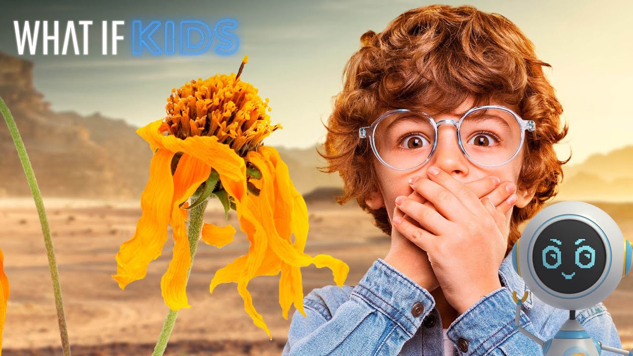 What If Insects Disappeared?
