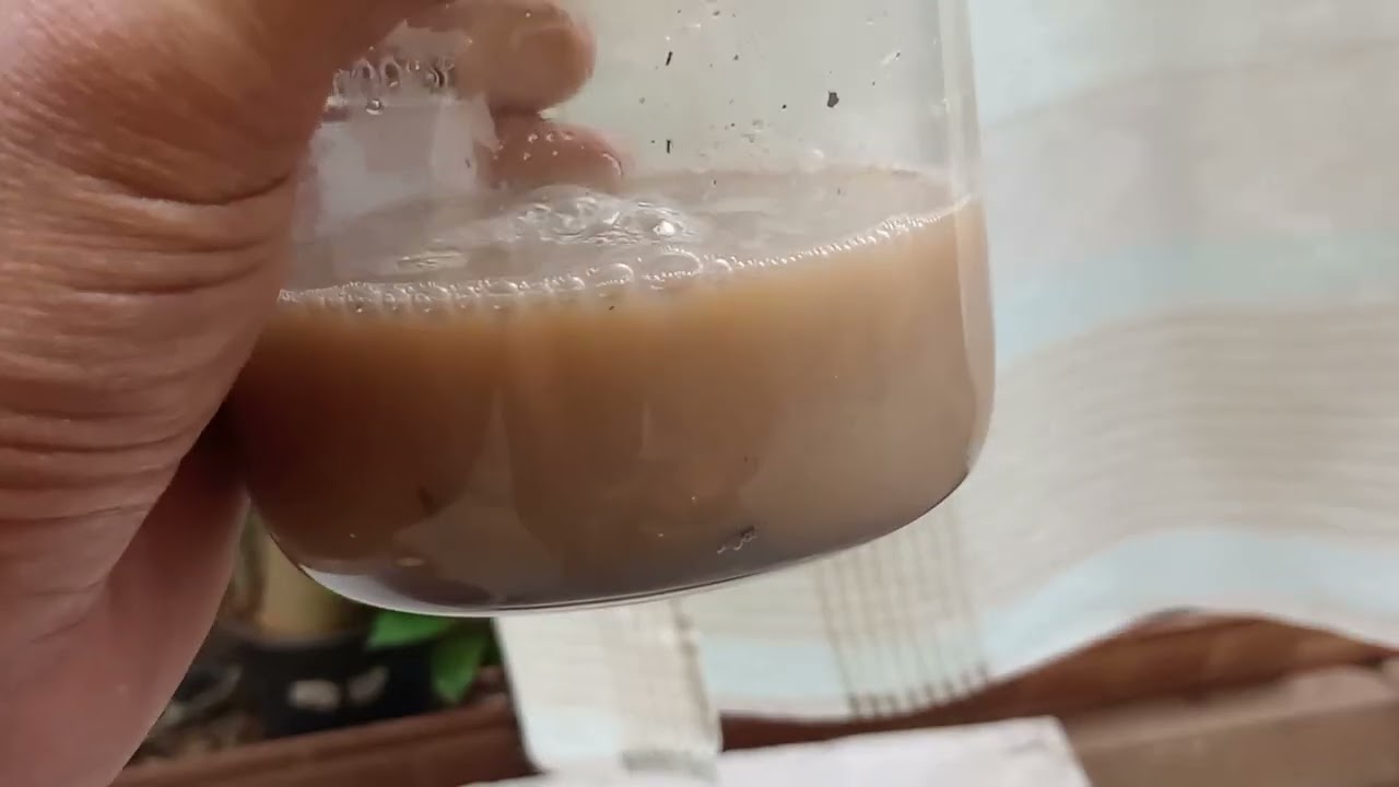 OURO DA MISTURA DE PERÓXIDO COM MURIÁTICO