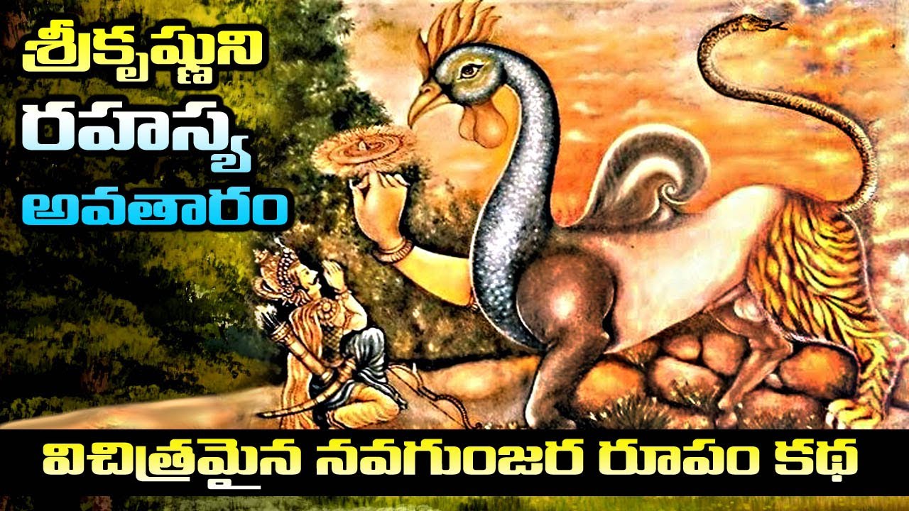 నవగుంజర , Navagunjara Story in telugu, sarala mahabharata ,