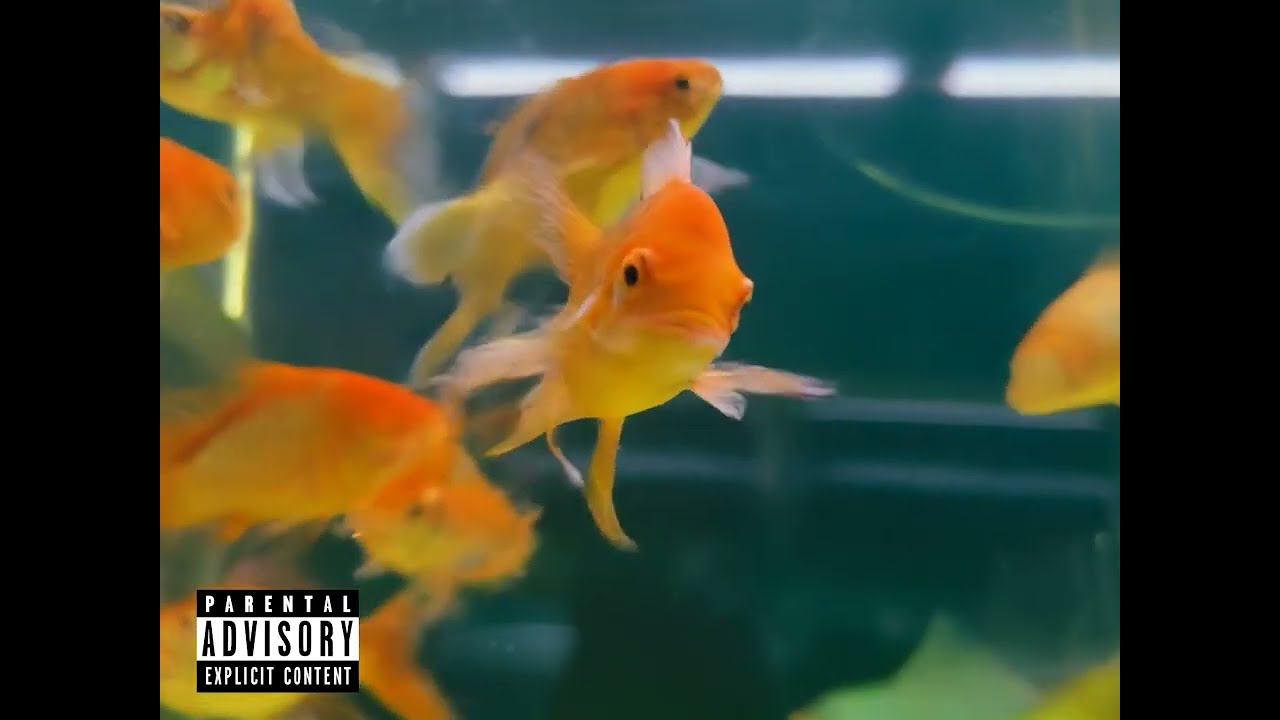 FREE Modern Nu Metal x 2000s Rapcore Type Beat - ADHD
