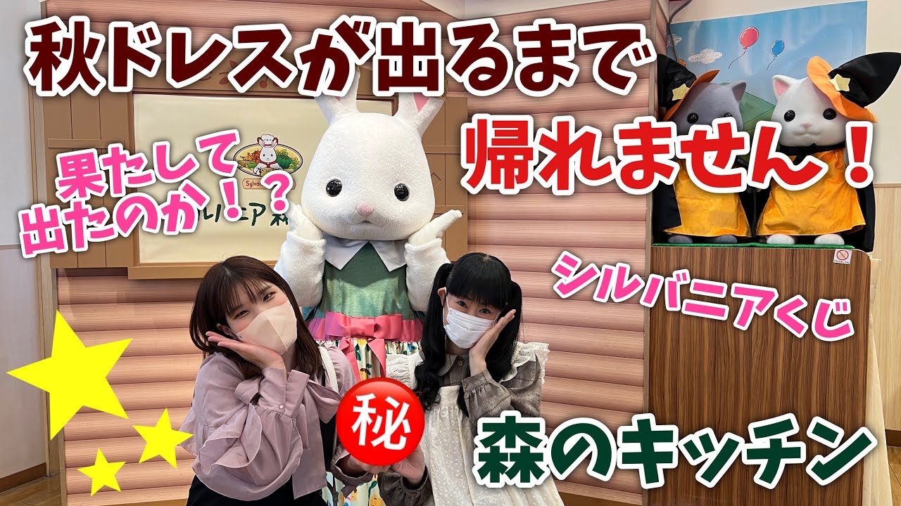 【シルバニアファミリー】森のキッチンで秋ドレス出るまで帰れません！【vlog#71】