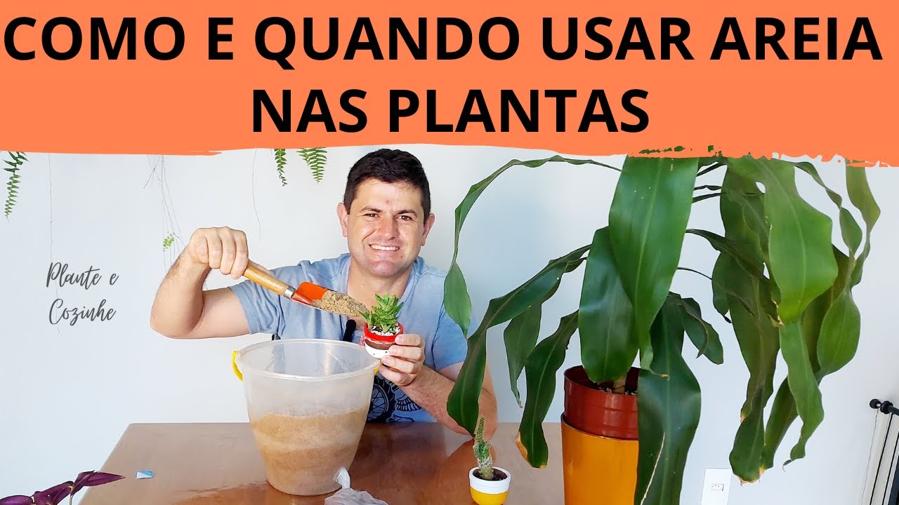AREIA nas PLANTAS: é uma boa? QUANDO e COMO usar e ter o MELHOR RESULTADO!