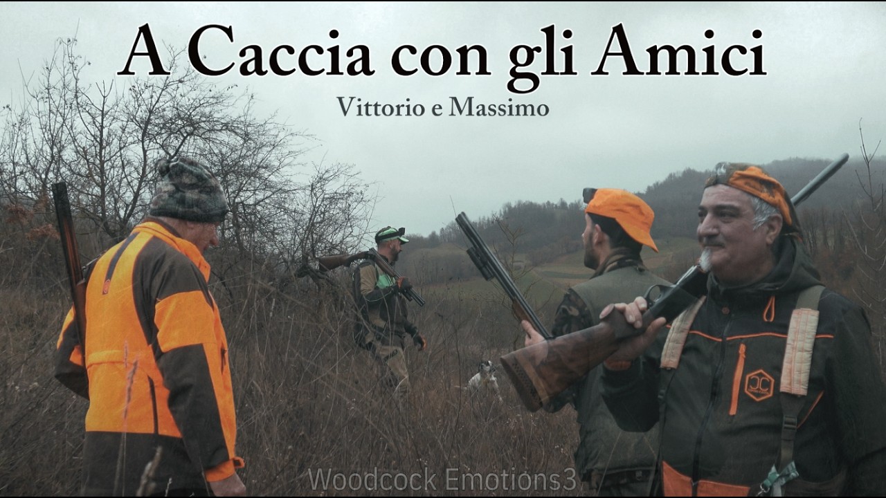 Woodcock Emotions 3 