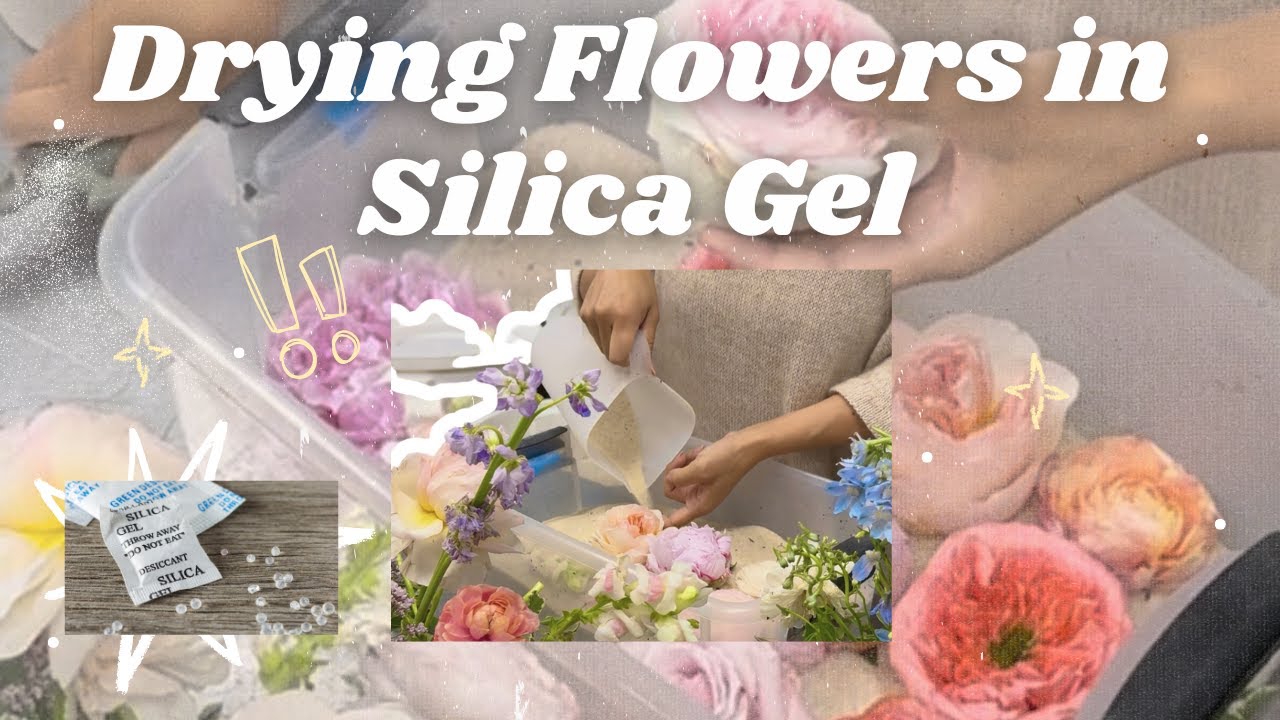 How to Dry Flowers in Silica Gel - Floral Preservation