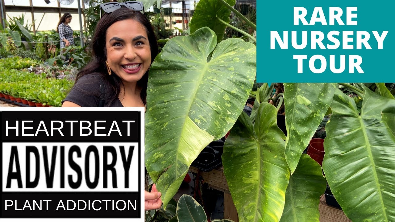 PLANTS THAT I&rsquo;D NEVER SEEN BEFORE!!! 👁👁AMAZING PLANT NURSERY TOUR & HAUL / RARE AND UNUSUAL PLANTS