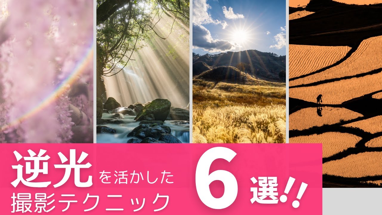 逆光は勝利！写真を劇的に変える6つのテクニック