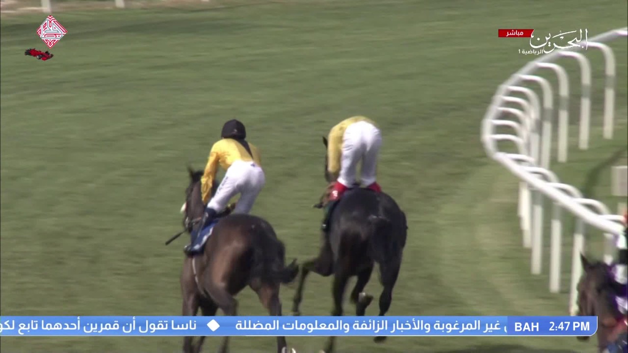 1st Race 14-April-2017