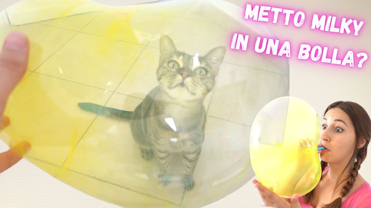 ESPERIMENTI CON IL CRYSTAL BALL *gatti vs bolle!*