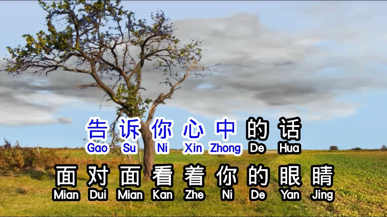 文静宁 Wen Jing Ning 每次都想呼喊你的名字 mei ci dou xiang hu han ni de ming zi