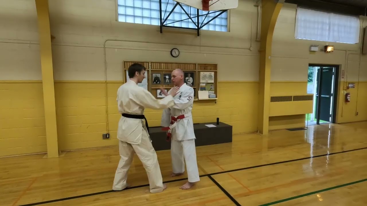 Shoulder roll and Arm Drag. Move from Kusanku Sho.