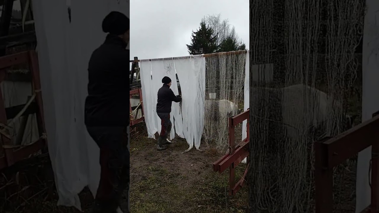 koottiponi ja kummitukset vol 2 ohjasajo